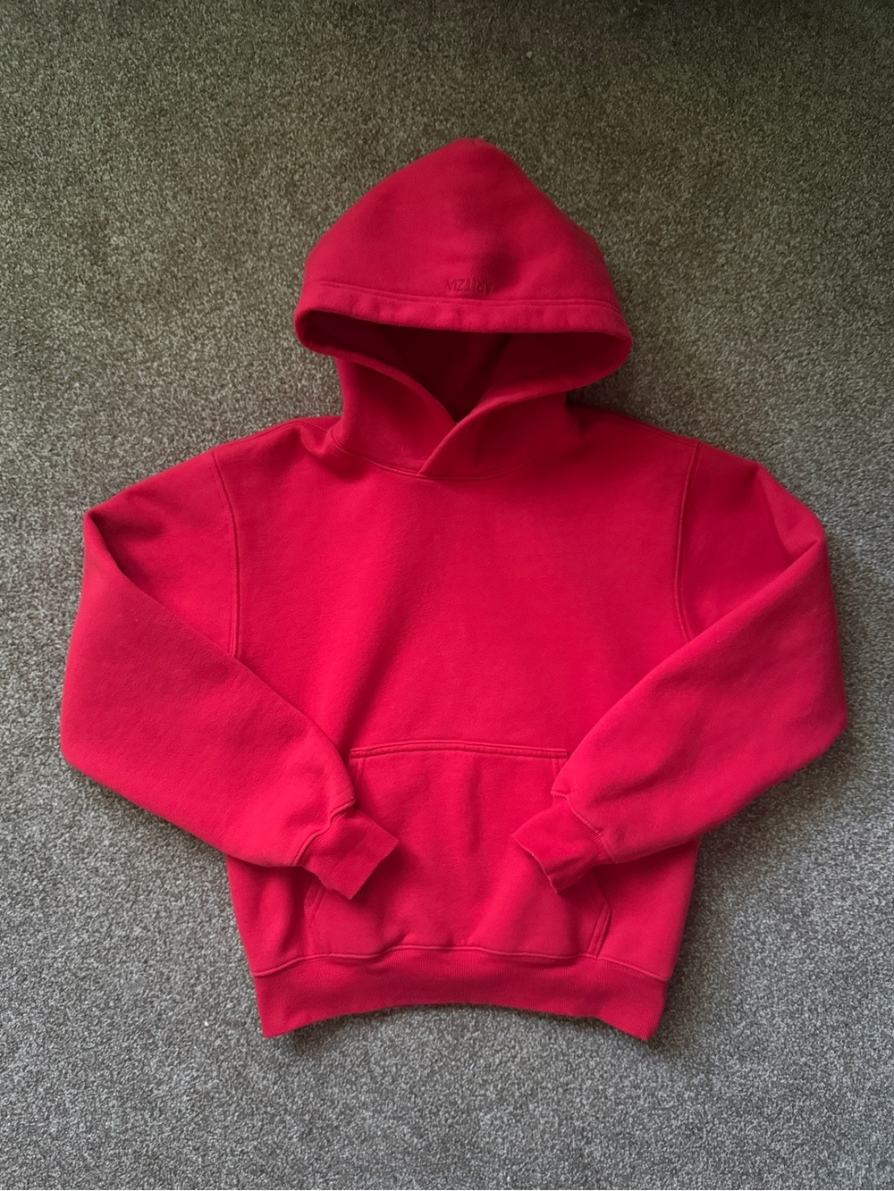 Aritzia hoodie